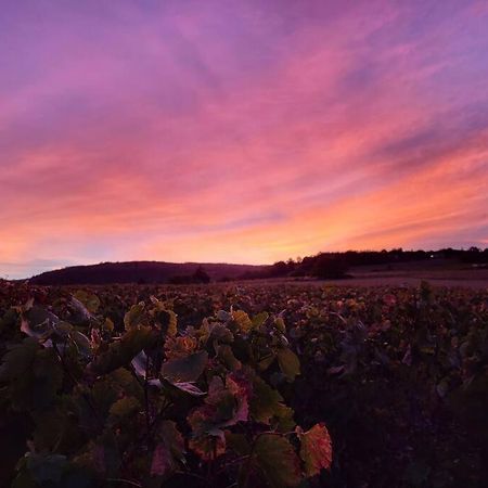 Le Clos Du Botaniste Pouilly-le-Monial Buitenkant foto