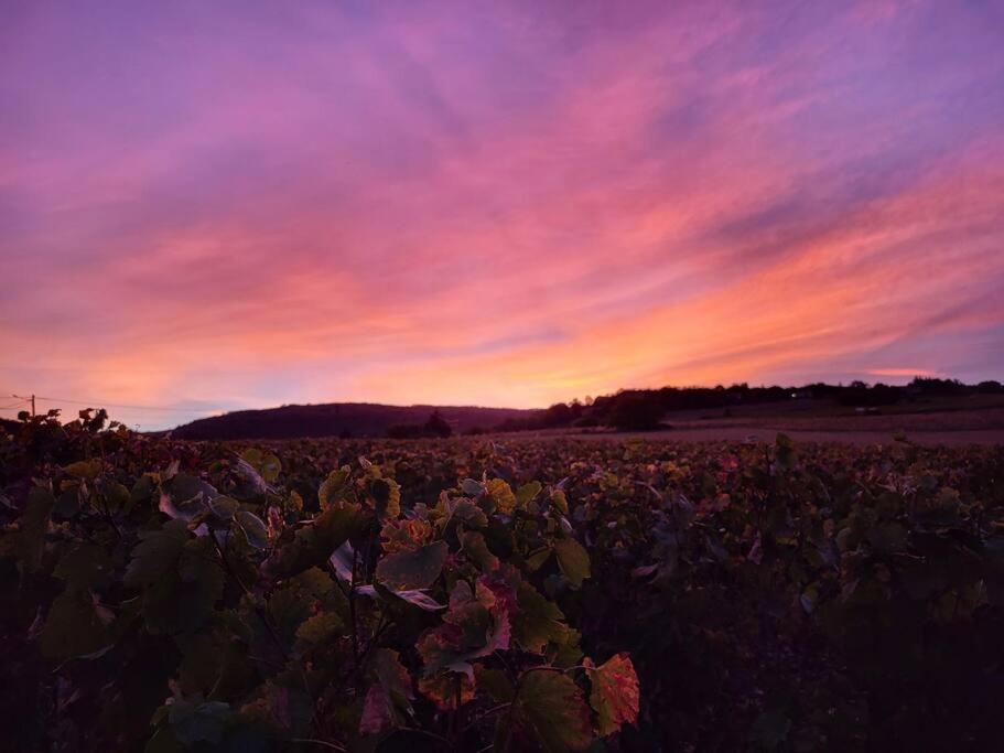 Le Clos Du Botaniste Pouilly-le-Monial Buitenkant foto