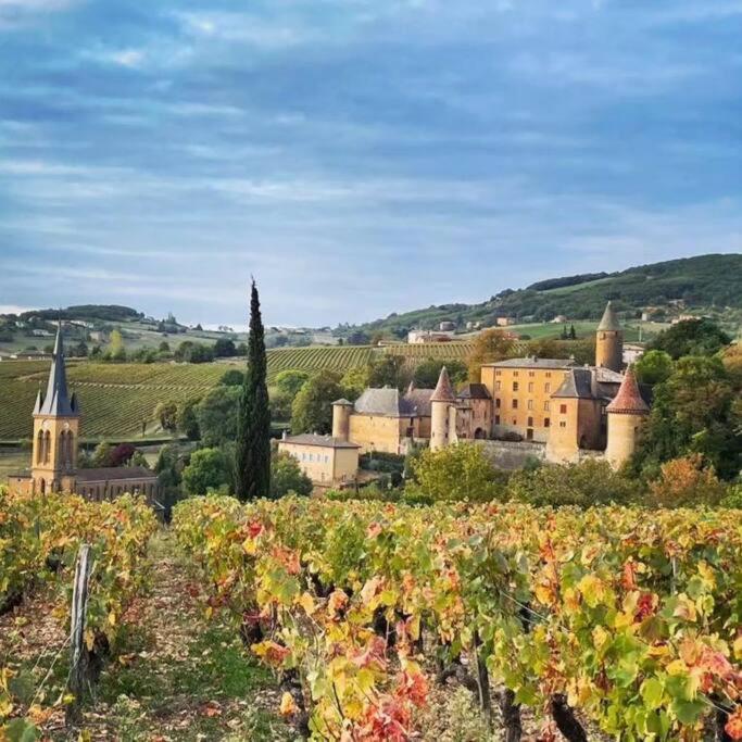 Le Clos Du Botaniste Pouilly-le-Monial Buitenkant foto